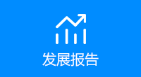 发展报告